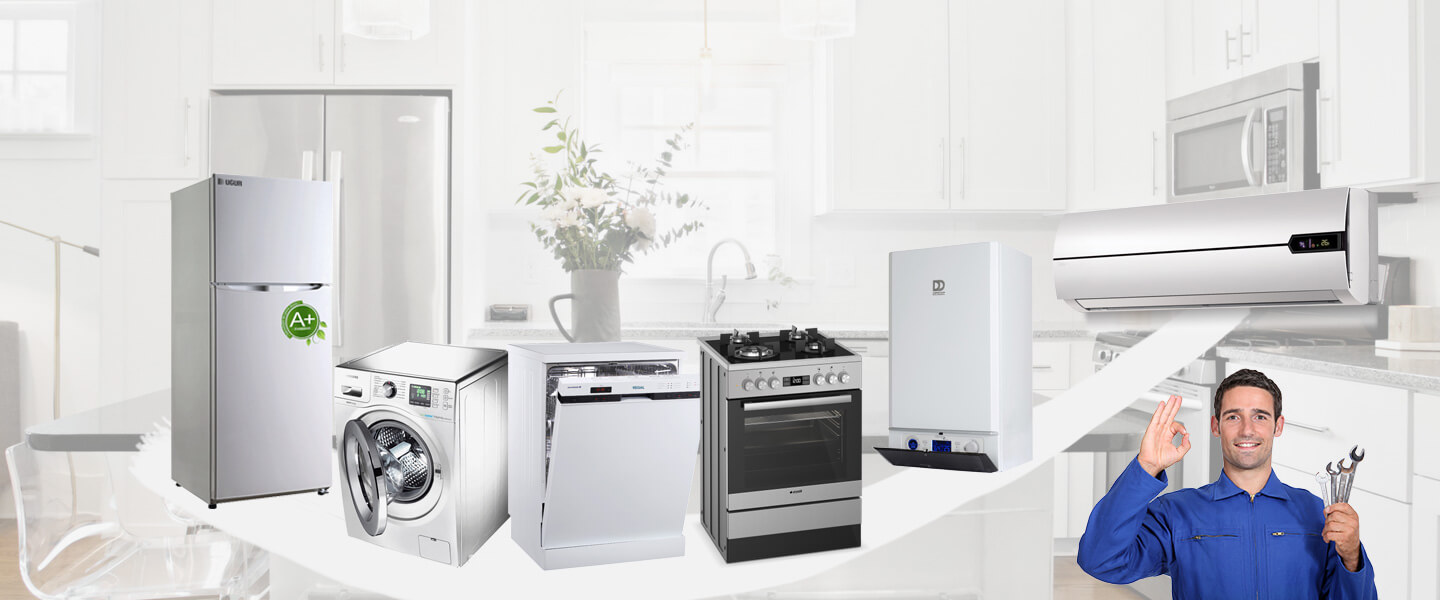 Söğütlü Gaggenau Servisi